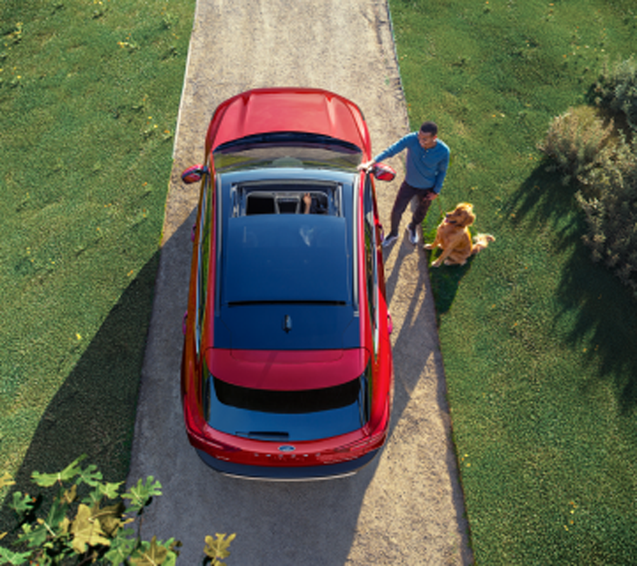 A man and dog standing next to a red Ford vehicle shown from above.